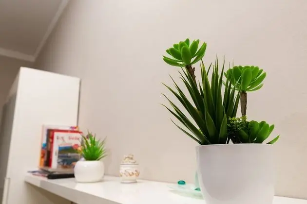 Apart Daire, 2 Yatak Odası, Balkon