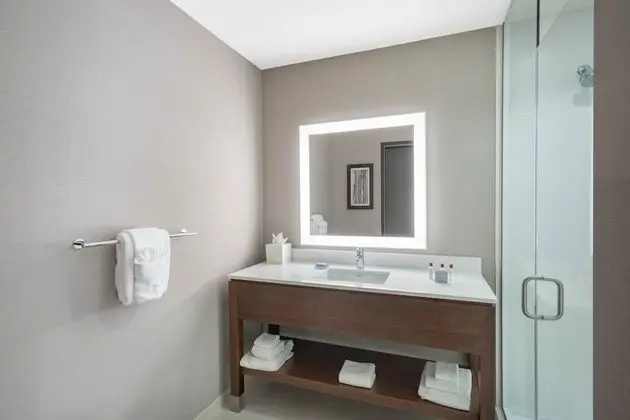 Standard Oda, 1 En Büyük (King) Boy Yatak, Engellilere Uygun (Mobility & Hearing w/ Tub)