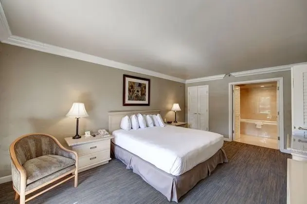 Süit, 1 Yatak Odası (1 King Bed)
