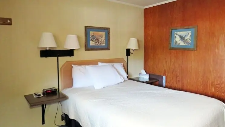 Standard Oda, 1 Büyük (Queen) Boy Yatak, Sigara İçilmez, Buzdolabı ve Mikrodalga