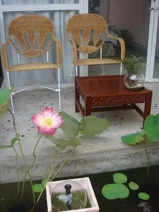 Terrace Room