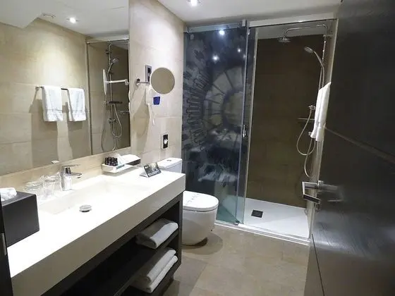 Premium Oda, 1 En Büyük (King) Boy Yatak, Havuz Manzaralı