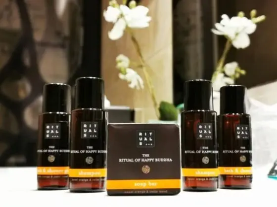 Süit, 1 Çift Kişilik Yatak ve Çekyat, Havuz Manzaralı