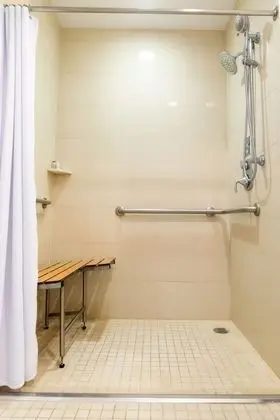 Oda, 1 En Büyük (King) Boy Yatak, Engellilere Uygun (Mobility, Roll-In Shower)