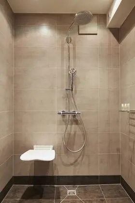 Standard Oda, 1 En Büyük (King) Boy Yatak, Engellilere Uygun, Şehir Manzaralı