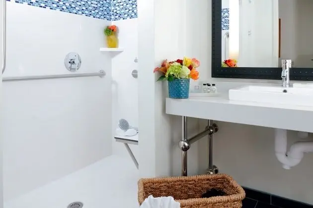 Standard Oda, 1 En Büyük (King) Boy Yatak, Engellilere Uygun (Roll-In Shower)