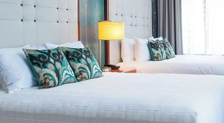Standard Oda