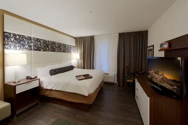 Süit, 1 Yatak Odası (with Living Area)