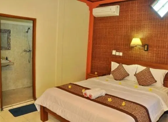 Superior Tek Büyük Yataklı Oda