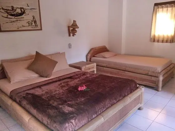 Standard Tek Büyük Yataklı Oda (Fan)