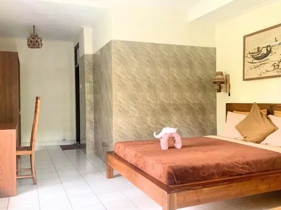 Standard Tek Büyük Yataklı Oda (Fan)