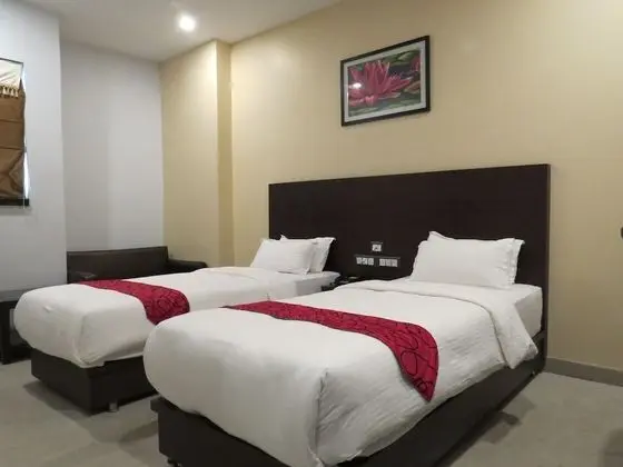 Deluxe İki Ayrı Yataklı Oda, 1 Yatak Odası, Şehir Manzaralı