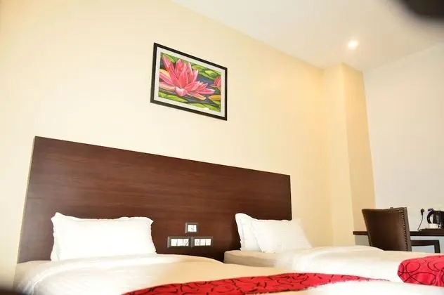 Deluxe İki Ayrı Yataklı Oda, 1 Yatak Odası, Şehir Manzaralı