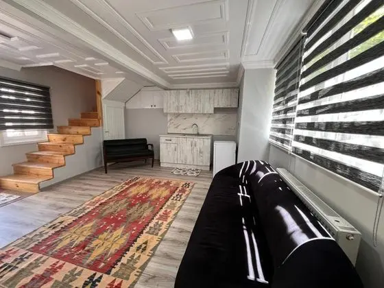 Executive Suite, Dublex