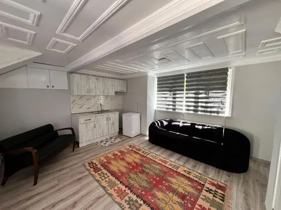 Executive Suite, Dublex
