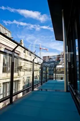 Executive Süit