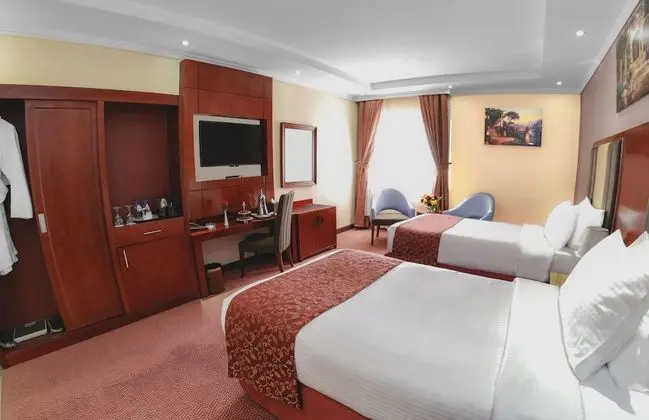 Standard İki Ayrı Yataklı Oda, Şehir Manzaralı