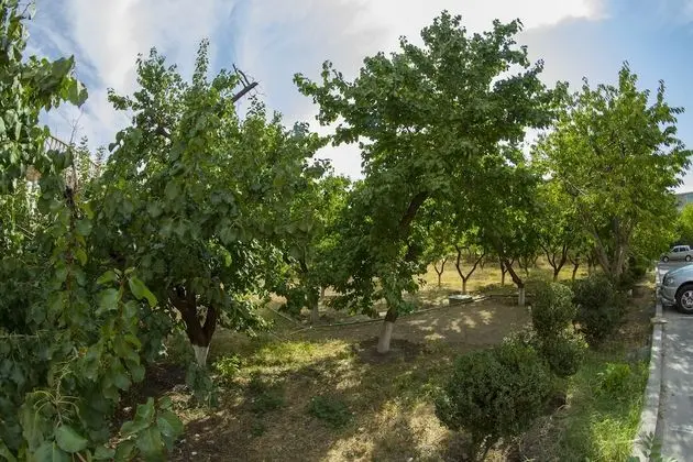 Superior Üç Kişilik Oda, Sigara İçilmez, Bahçe Manzaralı
