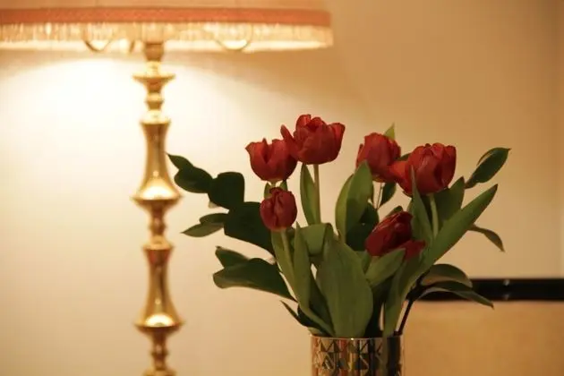 Junior Süit, Şehir Manzaralı