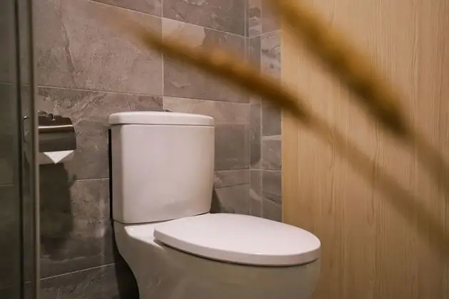 Deluxe Tek Büyük Yataklı Oda, Balkon