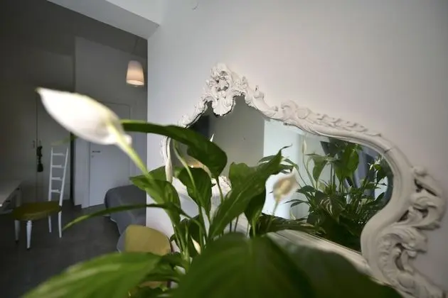Deluxe Tek Büyük Yataklı Oda, Havuz Manzaralı
