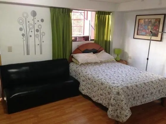 Basic Apart Daire, 1 Büyük (Queen) Boy Yatak, Banyolu/Duşlu, Şehir Manzaralı