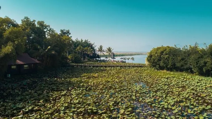 Royal Villa, Bahçe Manzaralı (Private Pond)