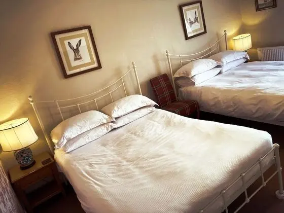 Deluxe İki Ayrı Yataklı Oda, Banyolu/Duşlu