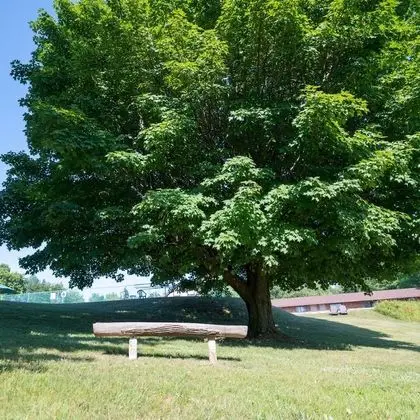 Standard Oda, 2 Büyük (Queen) Boy Yatak, Sigara İçilmez