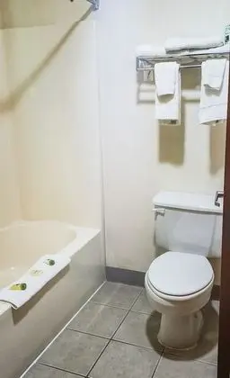 Standard Tek Büyük Yataklı Oda, 2 Çift Kişilik Yatak, Sigara İçilmez