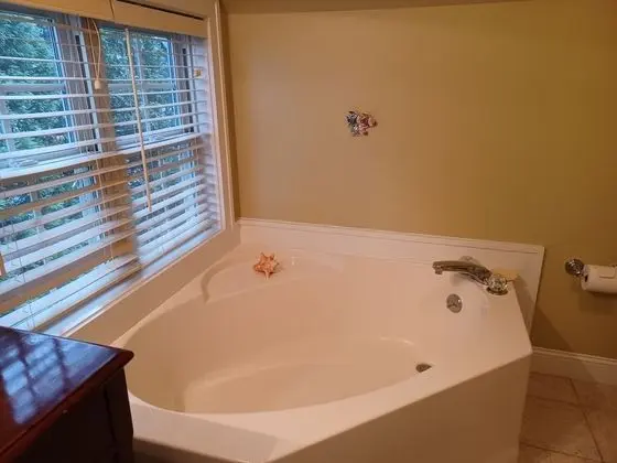 Oda, Sigara İçilmez, Özel Banyo (Chesapeake)