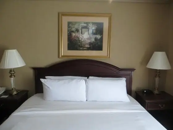 Tek Kişilik Oda Deluxe King Bed
