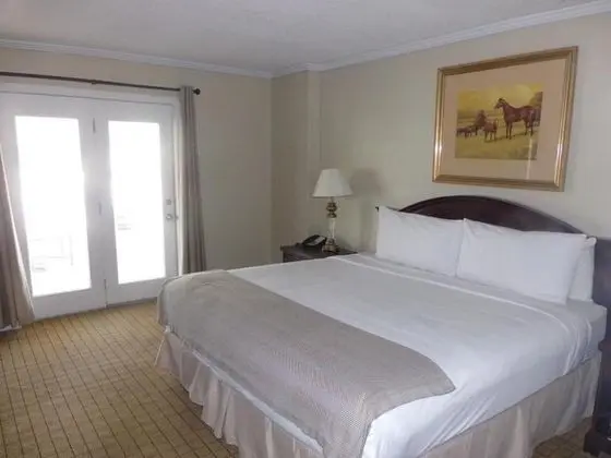 Tek Kişilik Oda King Size Bed