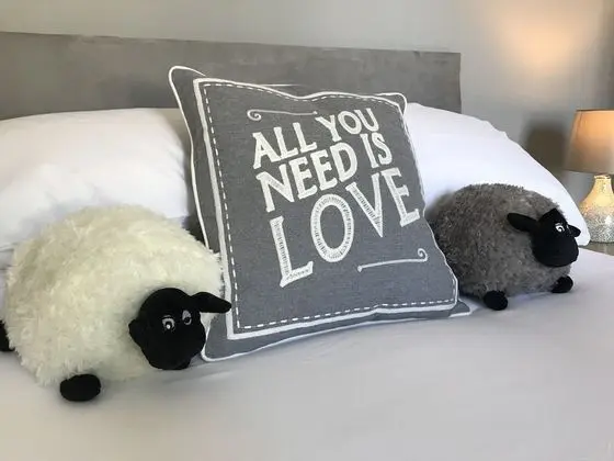 Luxury Süit, Banyolu/Duşlu (Caerphilly Suite )