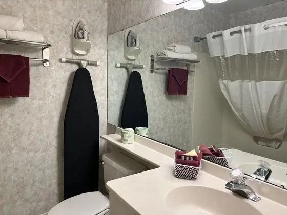 Oda, 1 Büyük (Queen) Boy Yatak ve Çekyat, Sigara İçilmez, Balkon (No Pets)