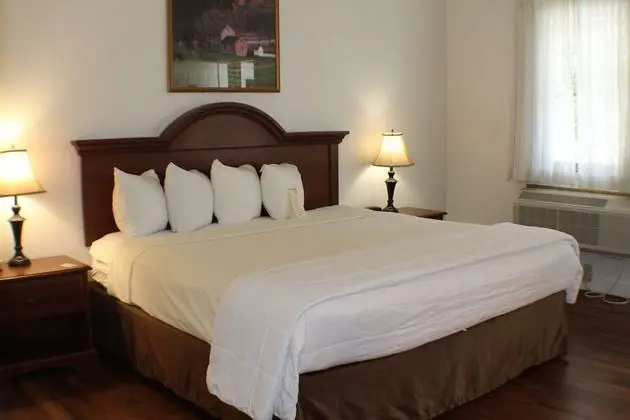 Oda, 1 En Büyük (King) Boy Yatak, Sigara İçilmez (Pet Friendly)
