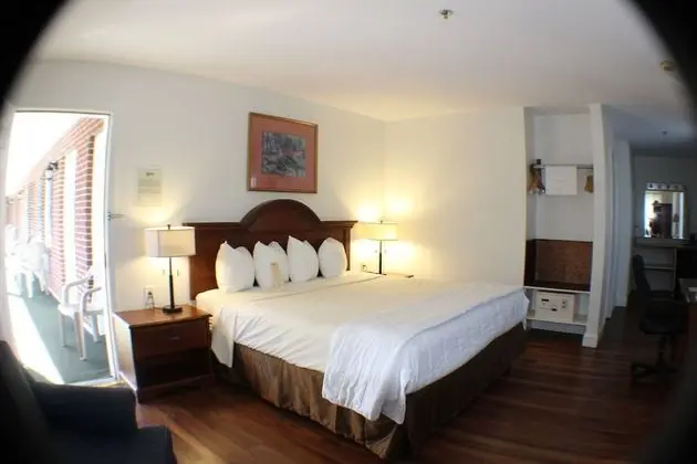 Oda, 1 En Büyük (King) Boy Yatak, Sigara İçilmez (Pet Friendly)