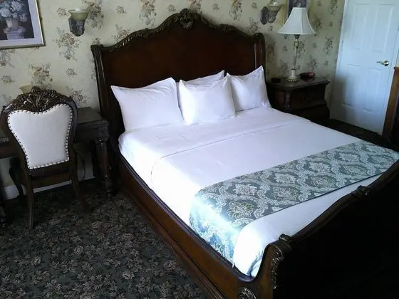 Tek Büyük Yataklı Oda, Engellilere Uygun, Banyolu/Duşlu (Handicap Room)