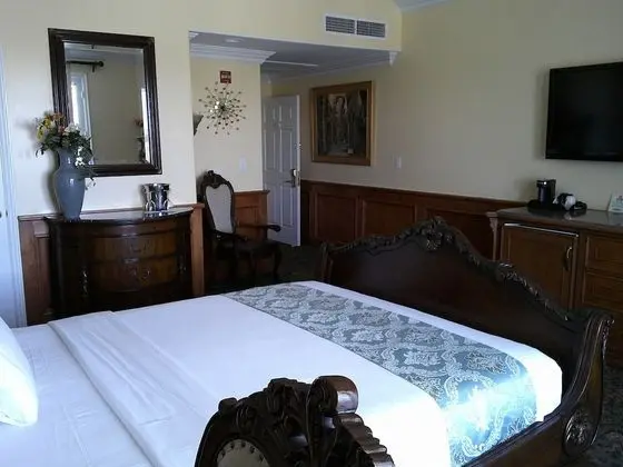 Tek Büyük Yataklı Oda, Engellilere Uygun, Banyolu/Duşlu (Handicap Room)