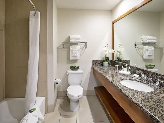 Tek Büyük Yataklı Oda (Oceanfront Two)