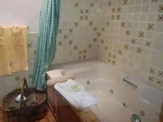 Luxury Oda, Banyolu/Duşlu (Luxury Suite - two queens)