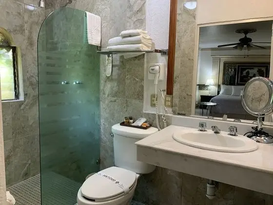 Junior Süit, 1 En Büyük (King) Boy Yatak, Buzdolabı, Bahçe Manzaralı