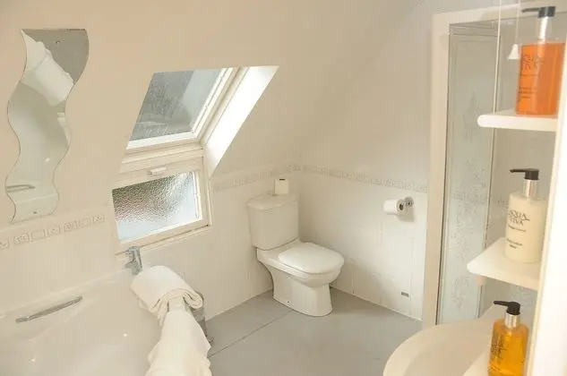 Classic Tek Büyük Yataklı Oda (Hayloft Room )