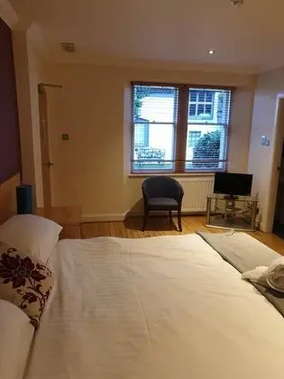 Standard Tek Büyük Yataklı Oda, 1 Çift Kişilik Yatak