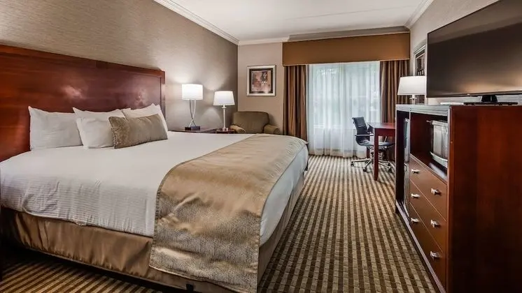 Standard Oda, 1 En Büyük (King) Boy Yatak, Sigara İçilmez, Buzdolabı ve Mikrodalga
