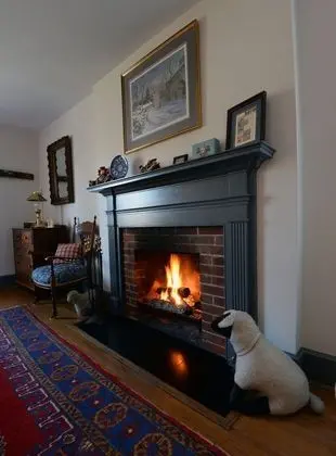 Premium Kır Evi, 1 Büyük (Queen) Boy Yatak, Sigara İçilmez