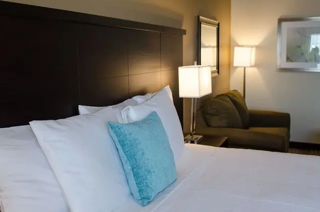 Standard Oda, 1 En Büyük (King) Boy Yatak (Standard King Room)