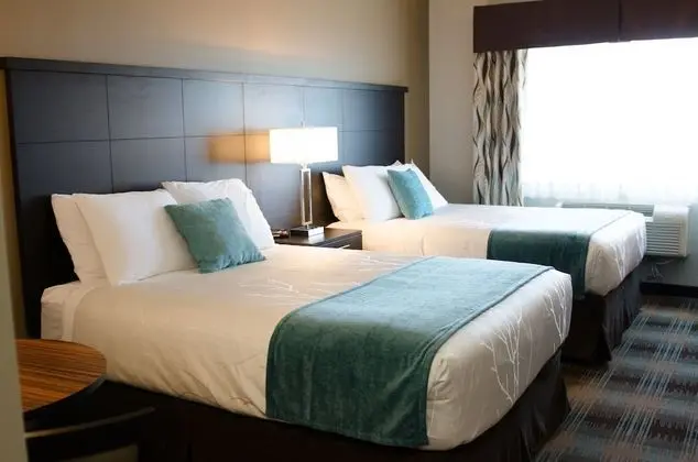 Süit, 2 Büyük (Queen) Boy Yatak, Mutfak (Kitchen Double Queen Room)