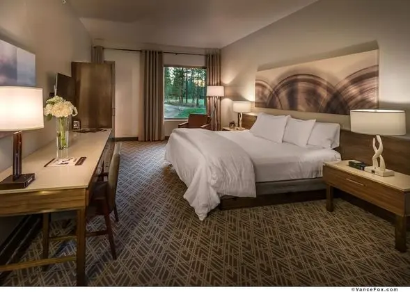 Oda, 1 En Büyük (King) Boy Yatak, Manzaralı (Forest)