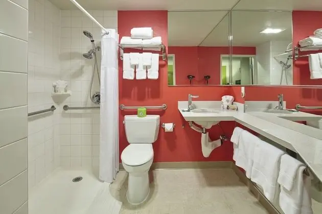 Oda, 1 En Büyük (King) Boy Yatak ve Çekyat, Engellilere Uygun (ADA Accessible King Suite)